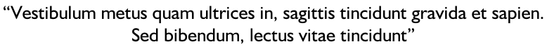 “Vestibulum metus quam ultrices in, sagittis tincidunt gravida et sapien.  Sed bibendum, lectus vitae tincidunt”